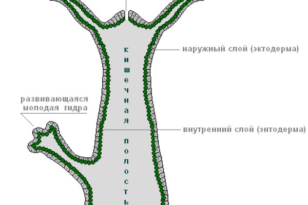 Кракен официальный